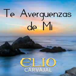 Te Averguenzas De MI