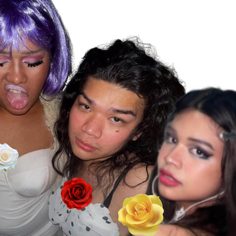 Rosetoy