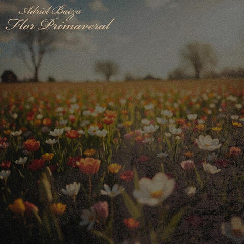Flor Primaveral