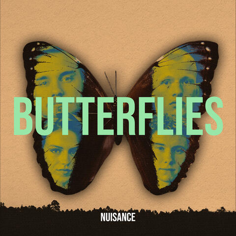 Butterflies