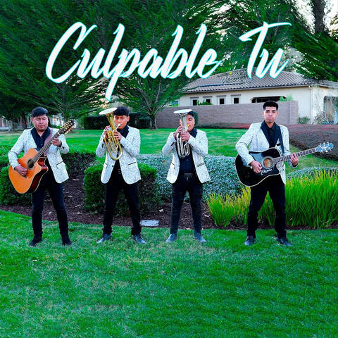 Culpable Tu
