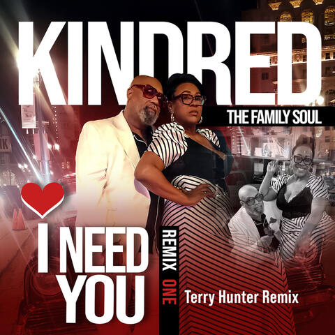 I Need You (Terry Hunter Remix)