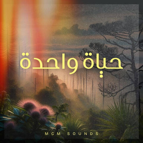 حياة واحدة