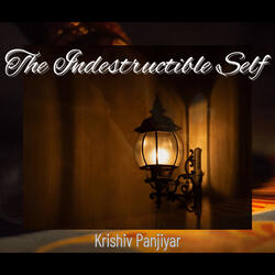 The Indestructible Self