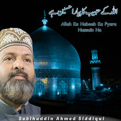 Allah Ke Habeeb Ka Pyara Hussain Ha
