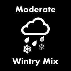 Moderate Wintry Mix