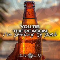 You're the Reason I'm Drinking so Much