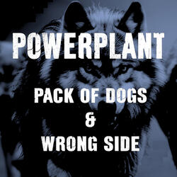 Pack of Dogs