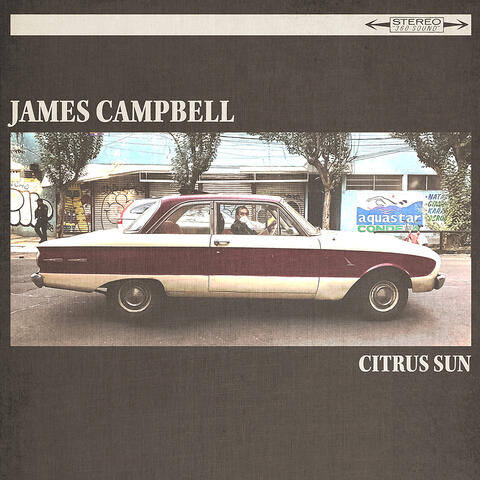 Citrus Sun