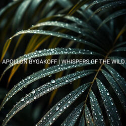 Whispers of the Wild