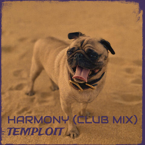 Harmony (Club Mix)