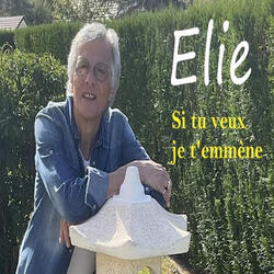si tu veux je t'emmène