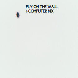 Fly on the Wall (Computer MIX)