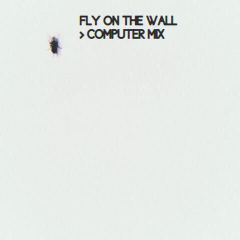 Fly on the Wall (Computer Mix)