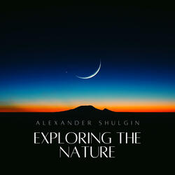 Exploring the Nature