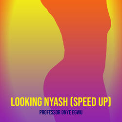 Looking Nyash (Speed Up)