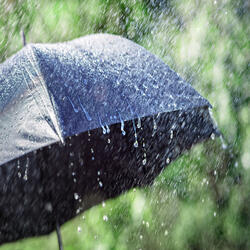 Let It Rain