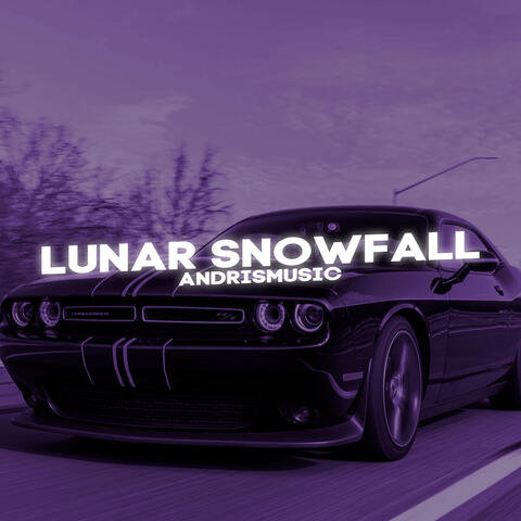 Lunar Snowfall