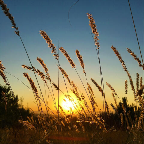 Arise and Shine (Ephesians 5:8-20, Isaiah 60:1)