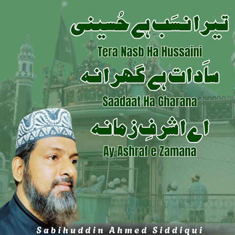 Tera Nasb Ha Hussaini Saadaat Ha Gharana Ay Ashraf E Zamana