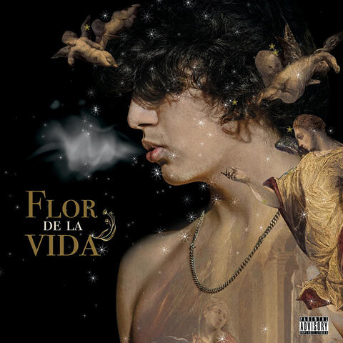 Flor De La Vida