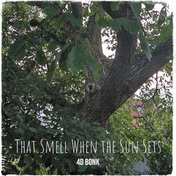 That Smell When the Sun Sets