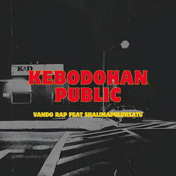 Kebodohan Public