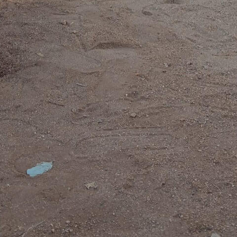 Na Hlohlonyiwa