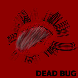 Dead Bug