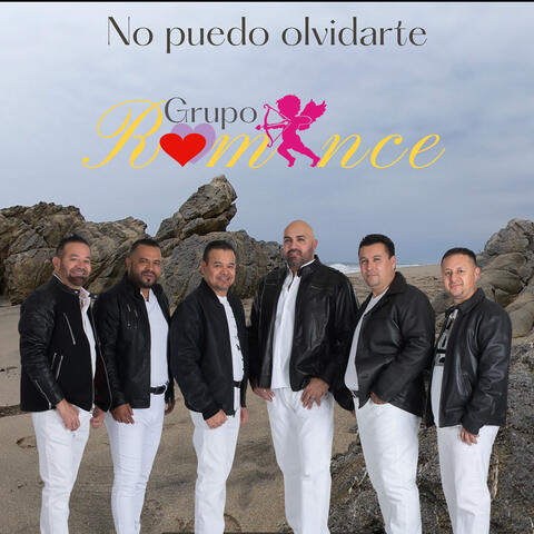 No Puedo Olvidarte