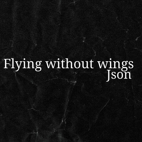 Flying Without Wings