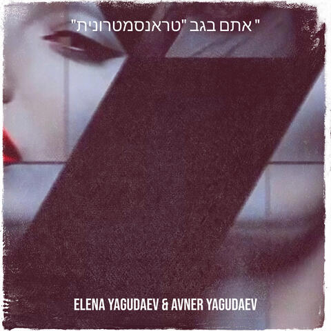 "אתם בגב "טראנסמטרונית "