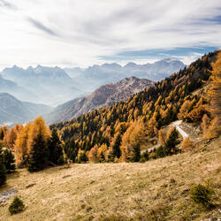 Path to the Peaks