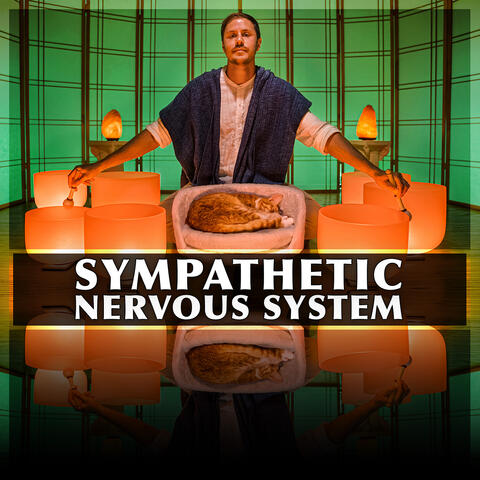 Sympathetic Nervous System