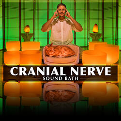 Cranial Nerve Sound Bath