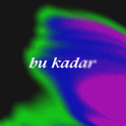 Bu Kadar