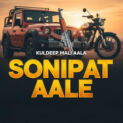 Sonipat Aale