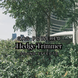 Gas Powered Hedge Trimmer Sound Effects
