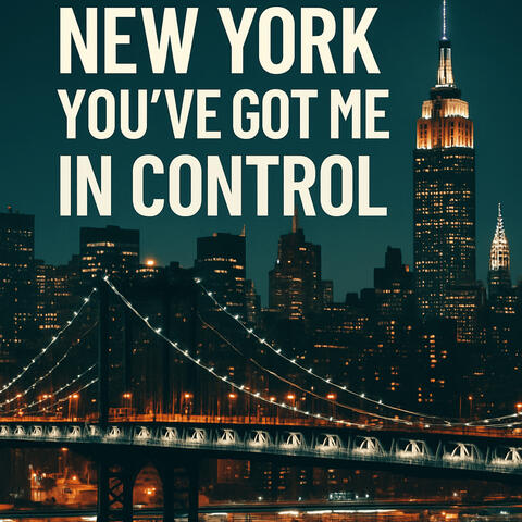 New York You've Got Me in Control