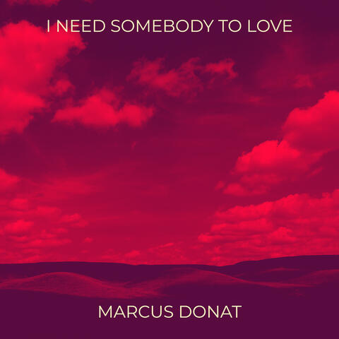 I Need Somebody to Love