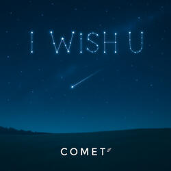 I Wish You