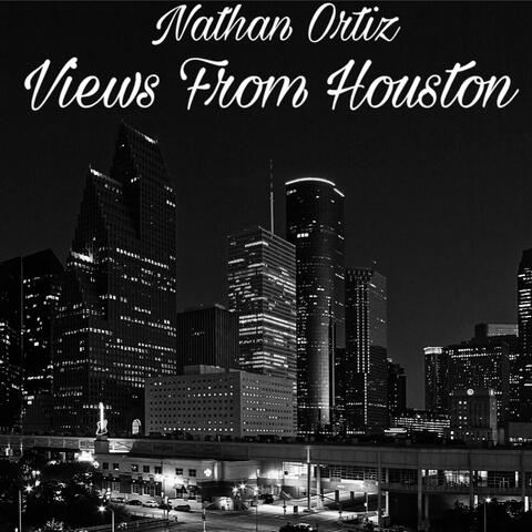 Views from Houston