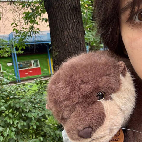 Не в сети
