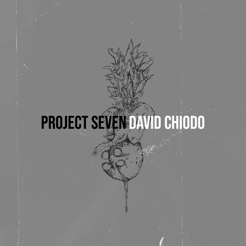 Project Seven