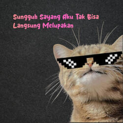 Sungguh Sayang Aku Tak Bisa Langsung Melupakan