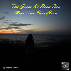 Tere Jaane Ke Baad Bhi, Main Tere Paas Hoon