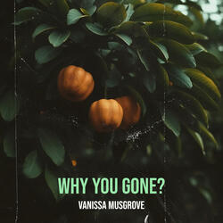 Why You Gone?