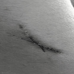 Mark My Skin
