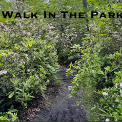 Walk in the Park