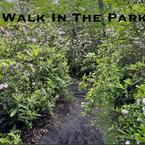 Walk in the Park